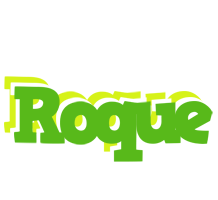 Roque picnic logo