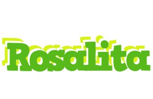 Rosalita picnic logo