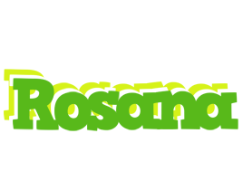 Rosana picnic logo