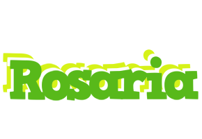 Rosaria picnic logo