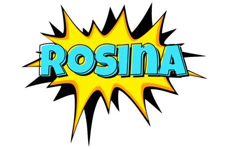 Rosina indycar logo