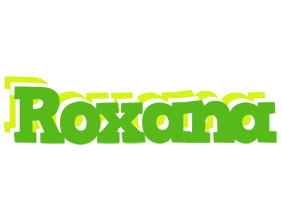 Roxana picnic logo