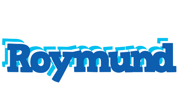 Roymund business logo