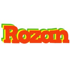 Rozan bbq logo