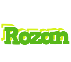 Rozan picnic logo