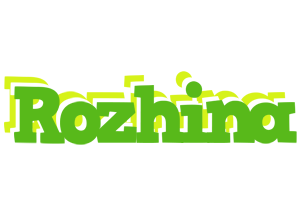 Rozhina picnic logo