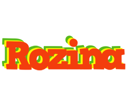 Rozina bbq logo