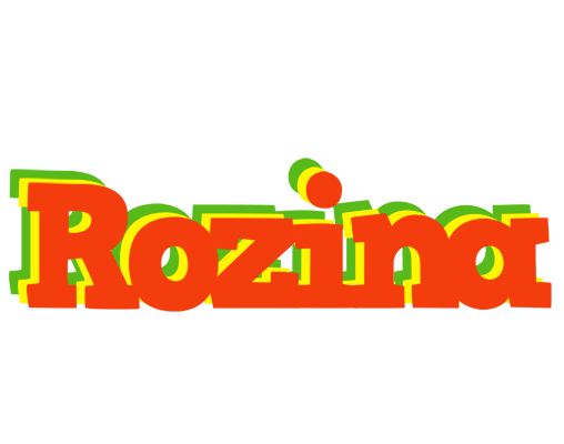 Rozina bbq logo