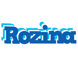 Rozina business logo