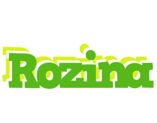 Rozina picnic logo
