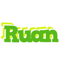 Ruan picnic logo