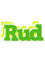 Rud picnic logo