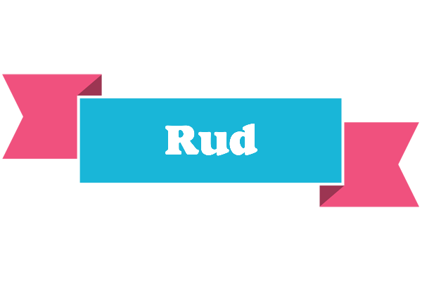 Rud today logo