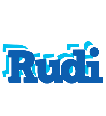 Rudi business logo