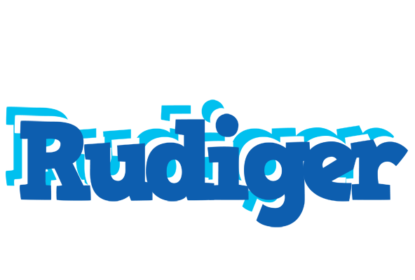 Rudiger business logo