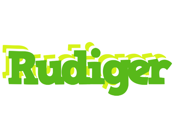 Rudiger picnic logo