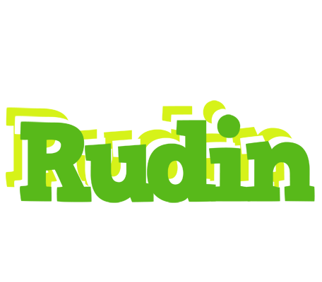 Rudin picnic logo