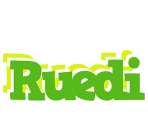 Ruedi picnic logo