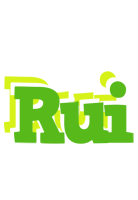 Rui picnic logo