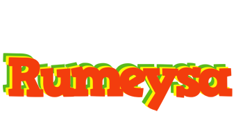 Rumeysa bbq logo