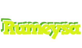 Rumeysa citrus logo