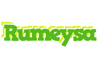 Rumeysa picnic logo