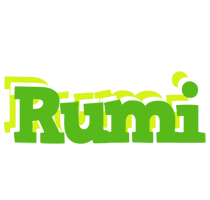 Rumi picnic logo