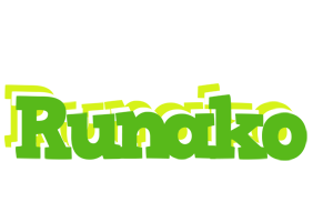 Runako picnic logo