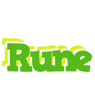 Rune picnic logo