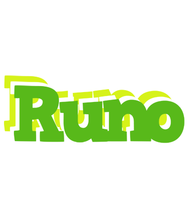 Runo picnic logo