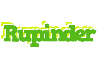 Rupinder picnic logo