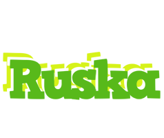 Ruska picnic logo