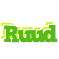 Ruud picnic logo