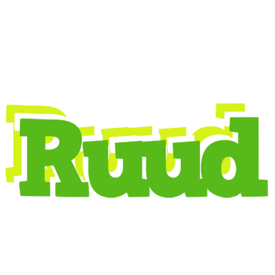 Ruud picnic logo