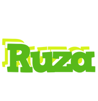 Ruza picnic logo