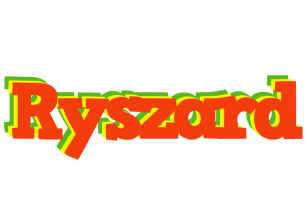 Ryszard bbq logo