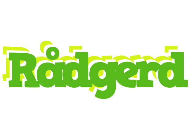 Rådgerd picnic logo