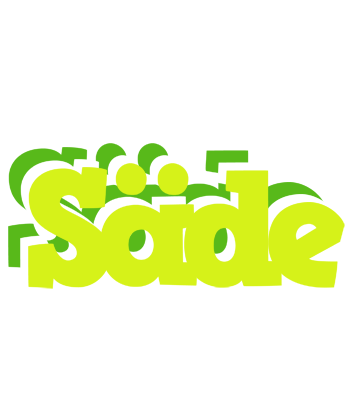 Säde citrus logo
