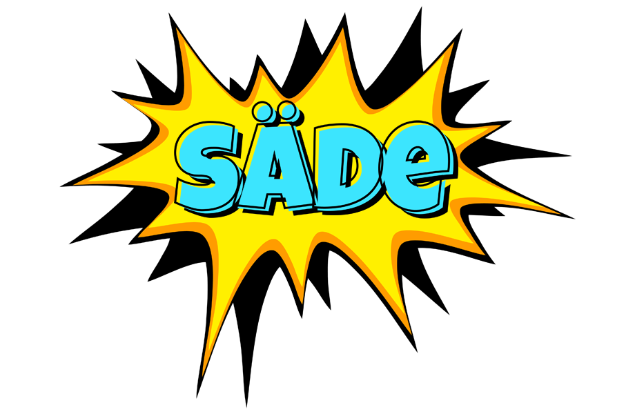 Säde indycar logo