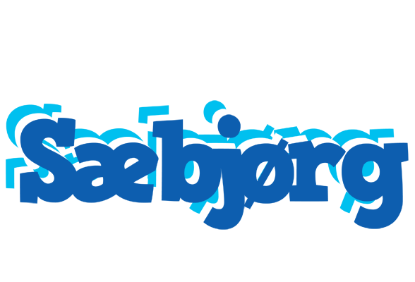 Sæbjørg business logo