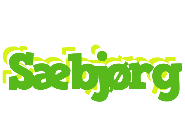 Sæbjørg picnic logo