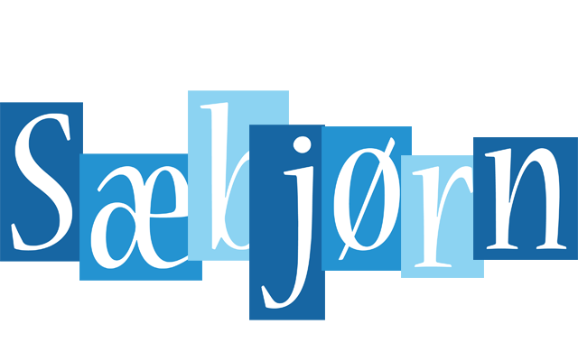 Sæbjørn winter logo