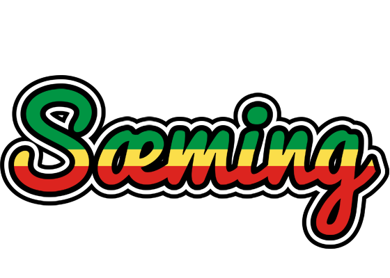 Sæming african logo