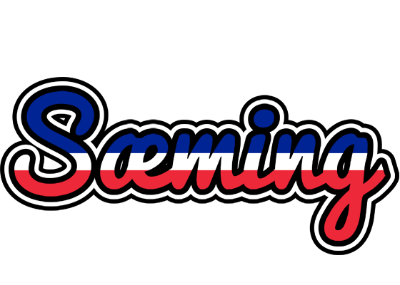 Sæming france logo