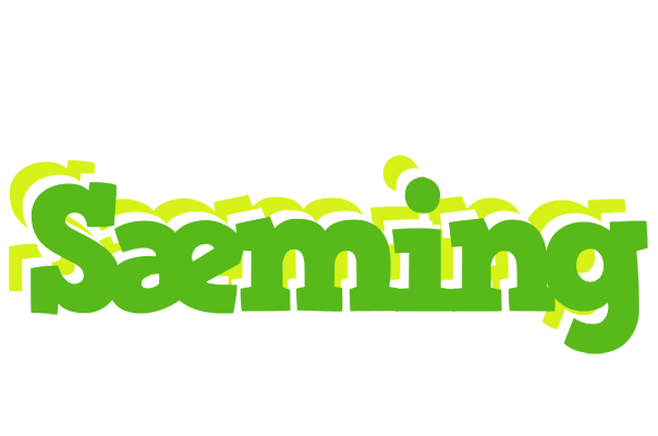 Sæming picnic logo