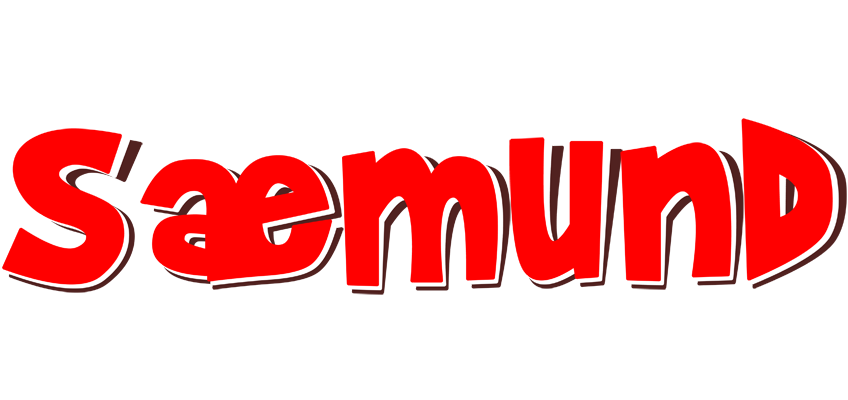 Sæmund basket logo