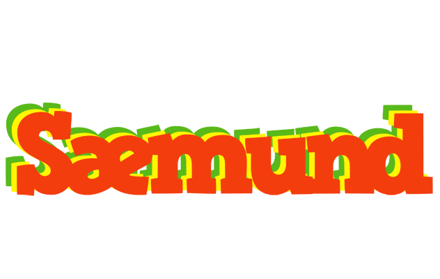 Sæmund bbq logo