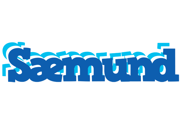 Sæmund business logo