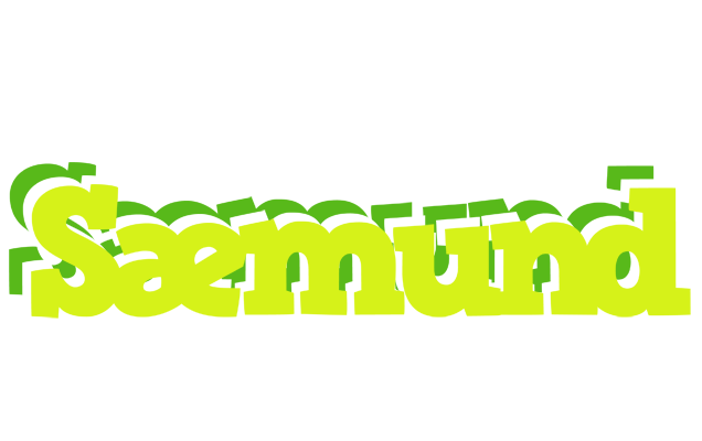 Sæmund citrus logo