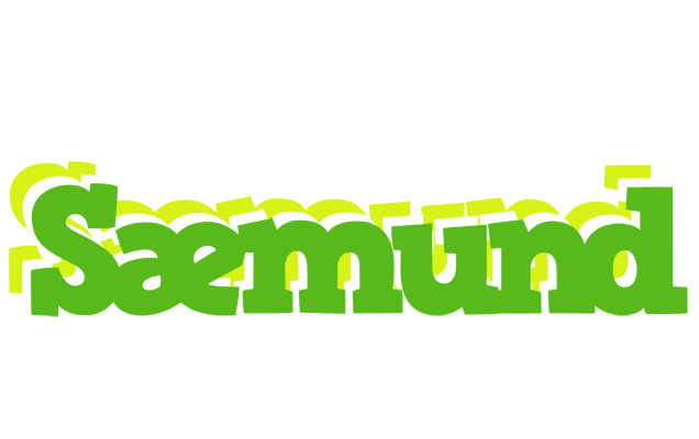 Sæmund picnic logo